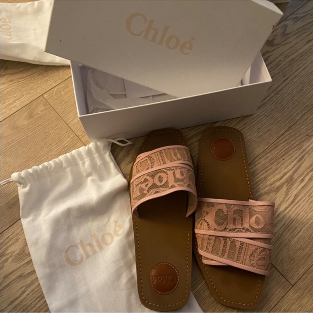 Chloé Pink and Brown Sandals